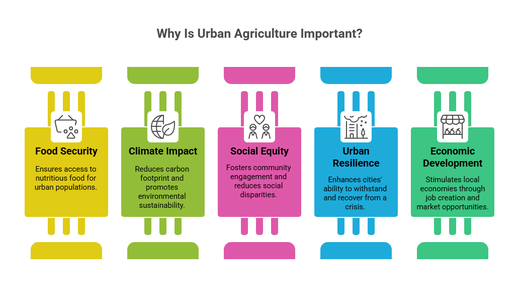 An infographic that illustrates why urban agriculture is important