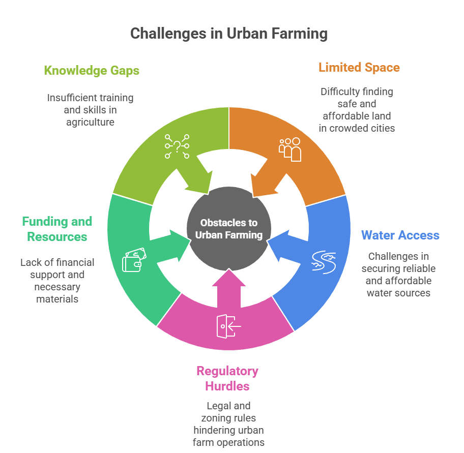An infographic that illustrates the challenges in urban farming