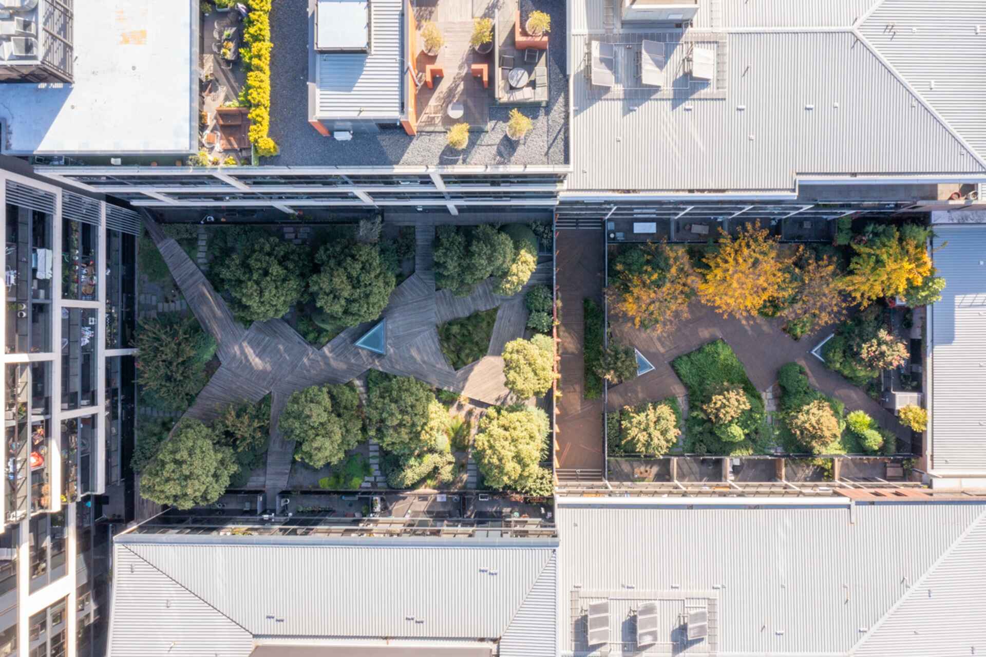 Aerial view of urban rooftop gardens with geometric wooden walkways