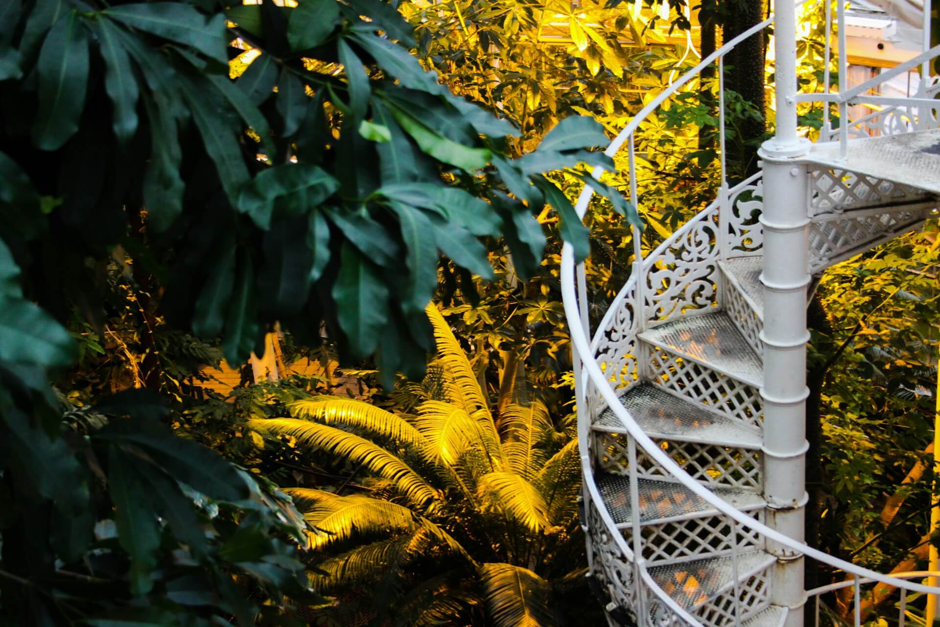 White spiral staircase beside golden ferns and lush green foliage