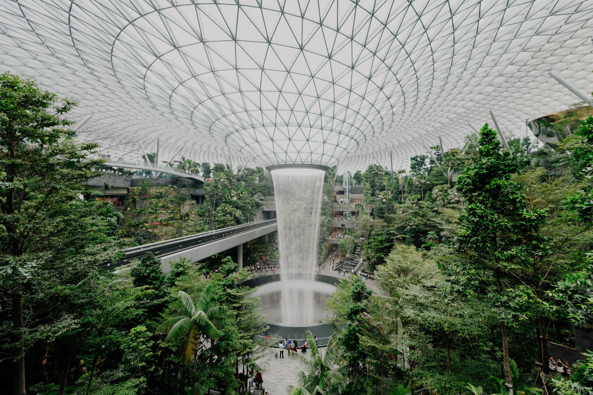 Exploring the Importance of Biophilic Design in Modern Architecture