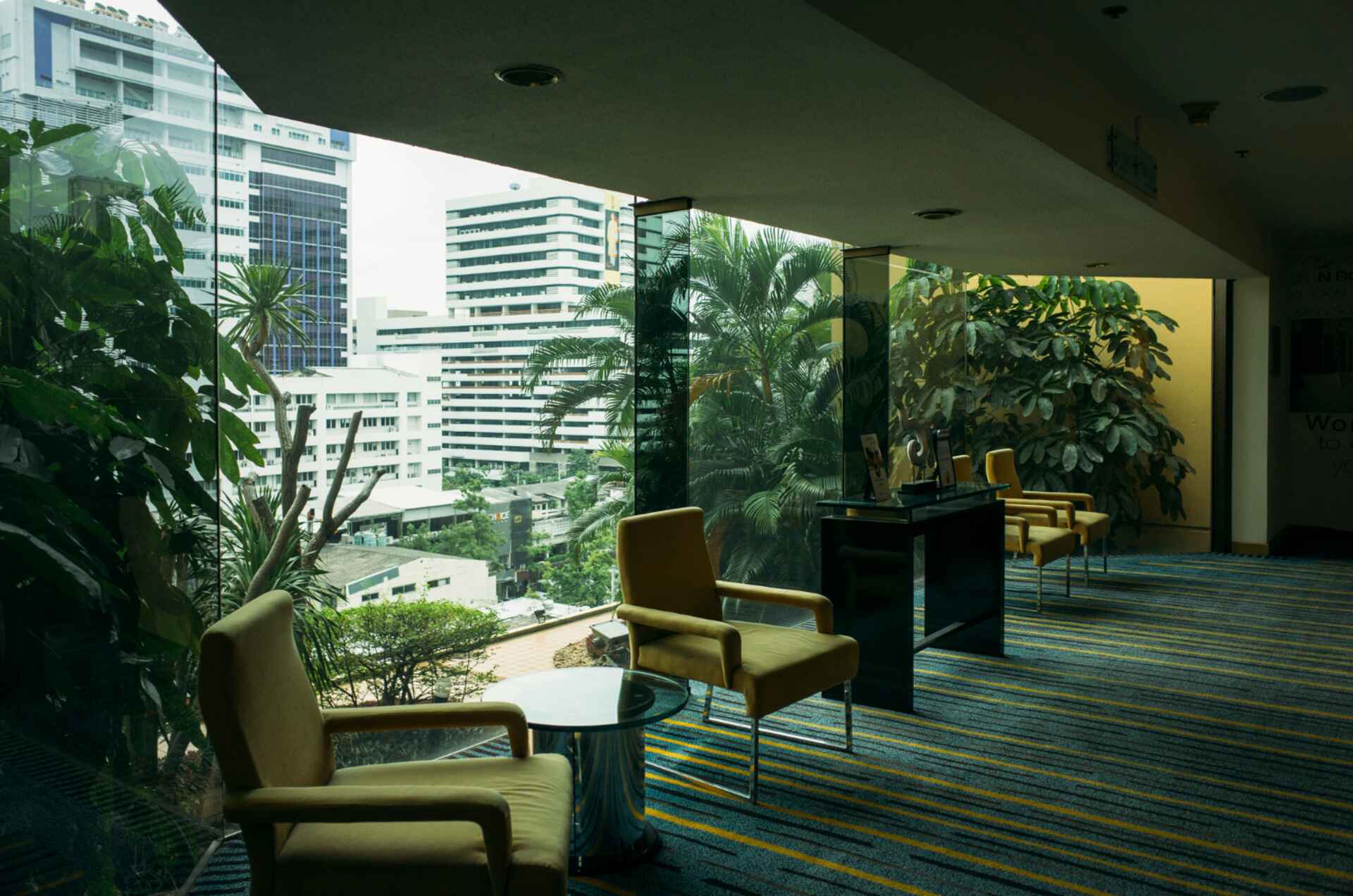How to Create the Perfect Green Office Space