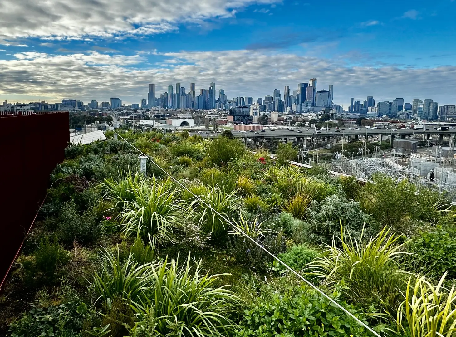 What Is the Cost of a Green Roof in Australia?