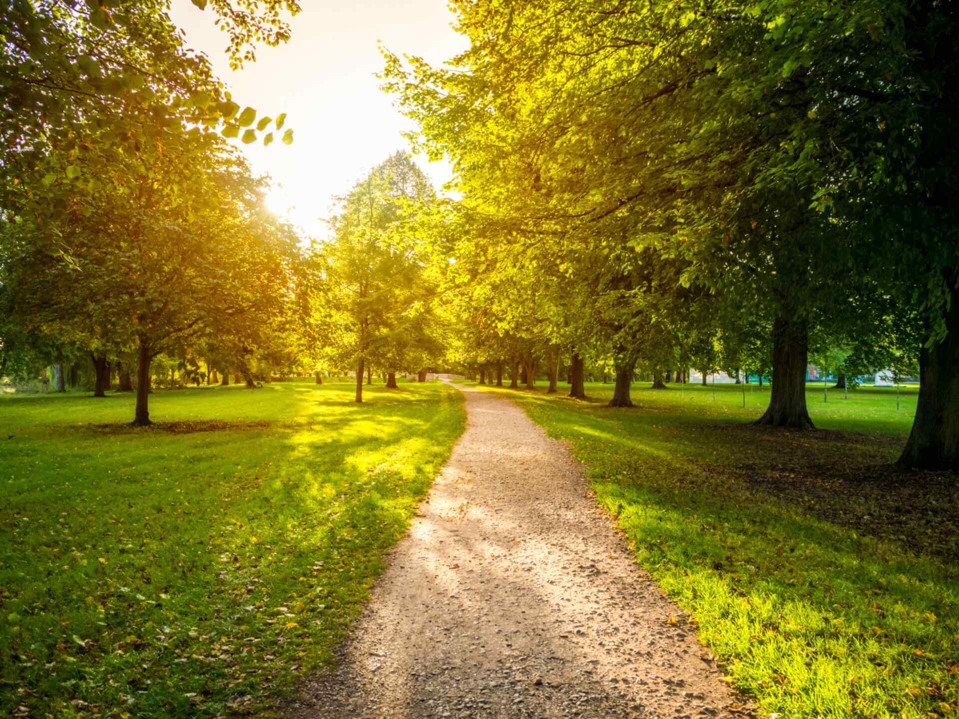 What Are Green Spaces and Why We Need Them