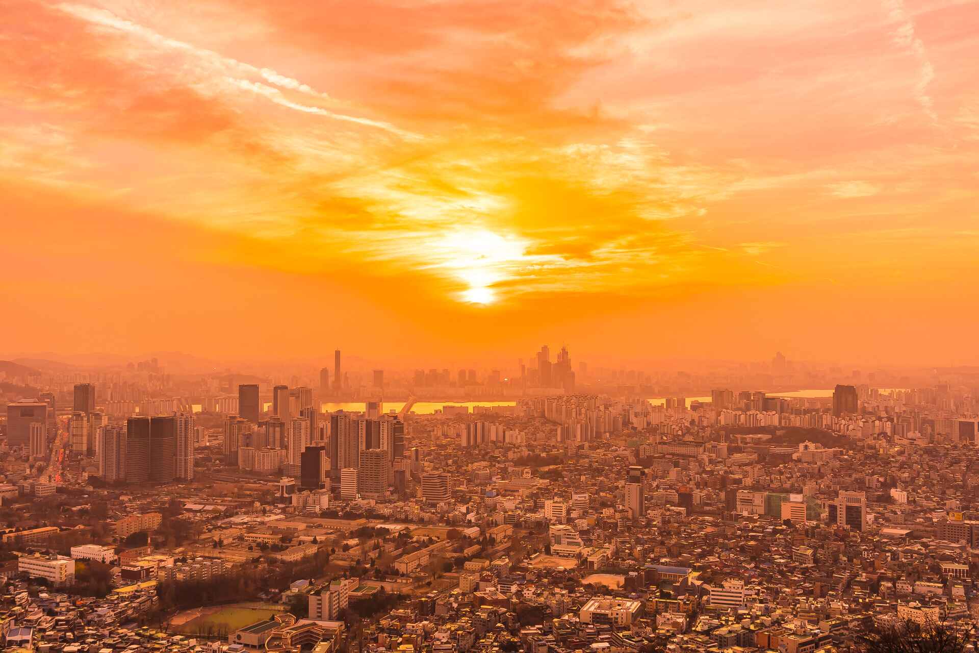 How Green Roofs Combat the Urban Heat Island Effect