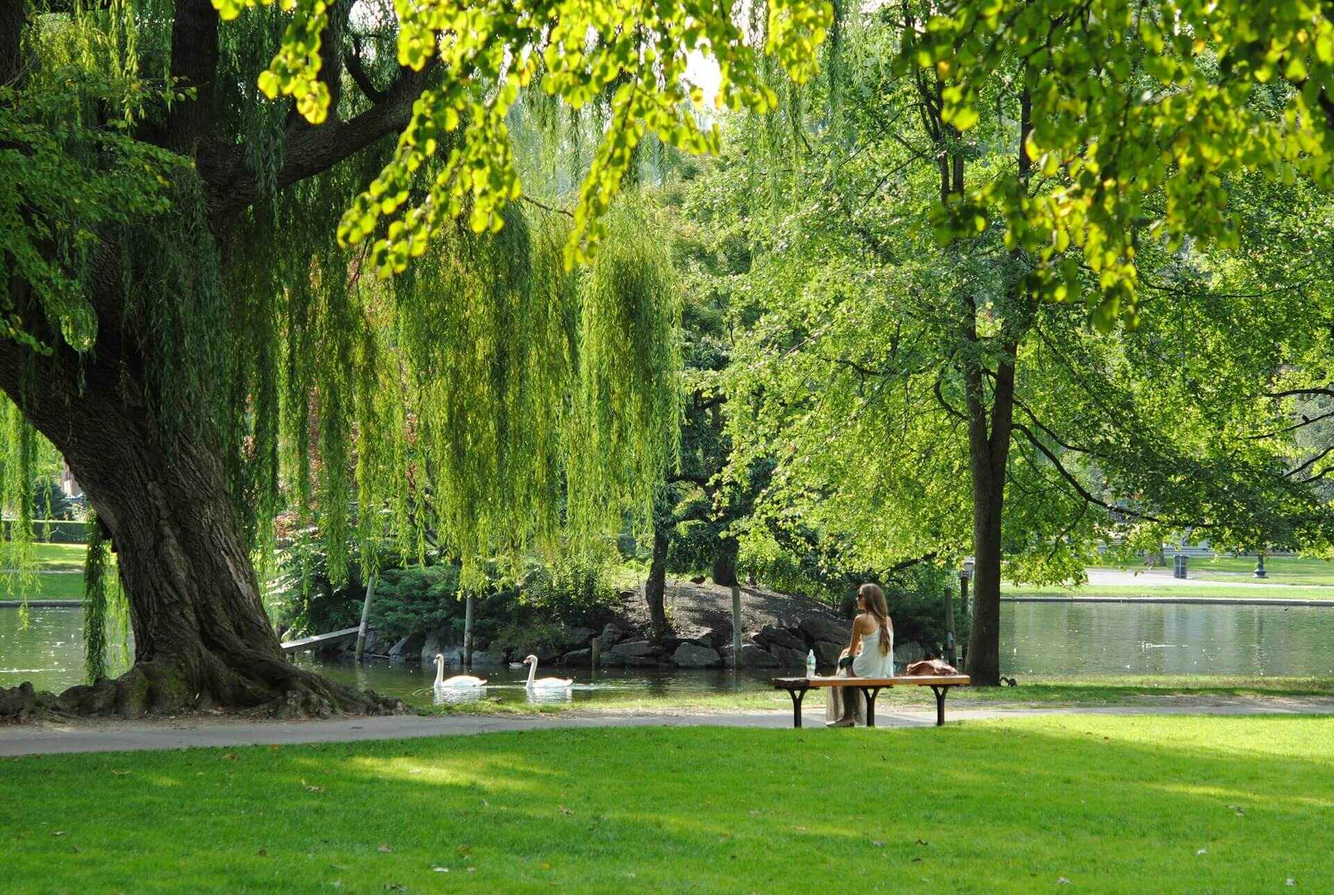 What Are the Benefits of Green Spaces on Mental Health?