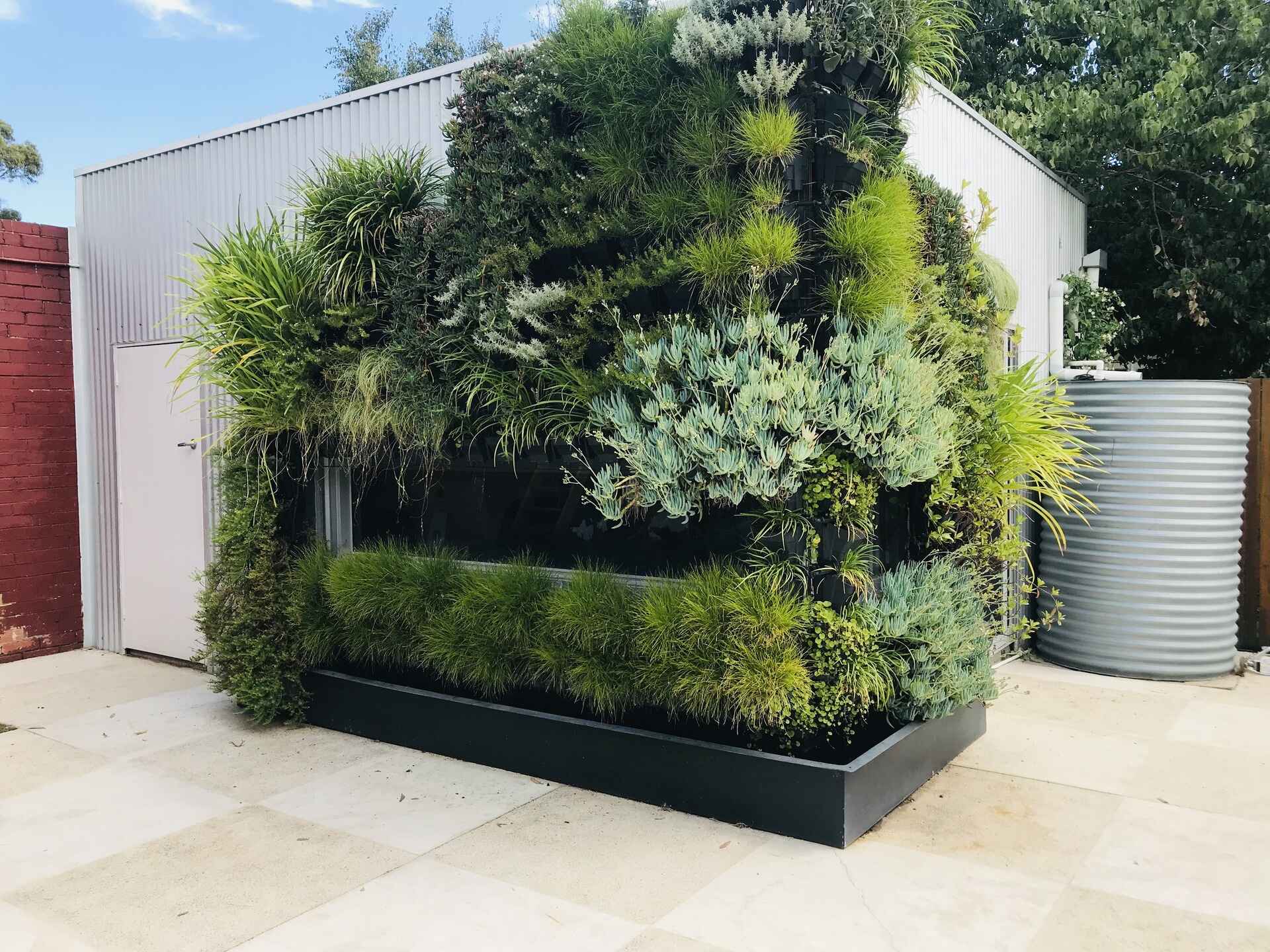 What Is the Cost of a Living Wall?