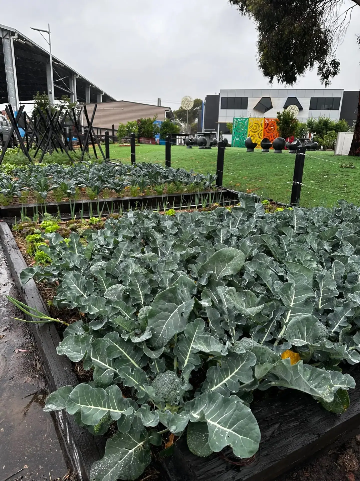 Outdoor small community farm