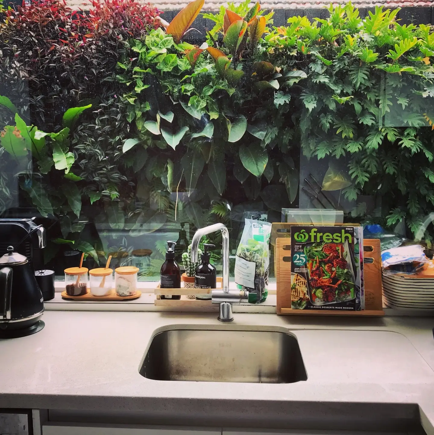 Kitchen counter with sink, plants, and fresh cookbook near lush green wall