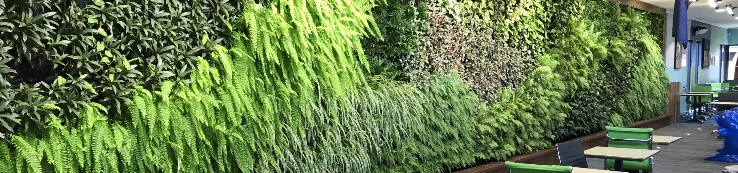 Lush vertical garden with multiple green plants and ferns indoors