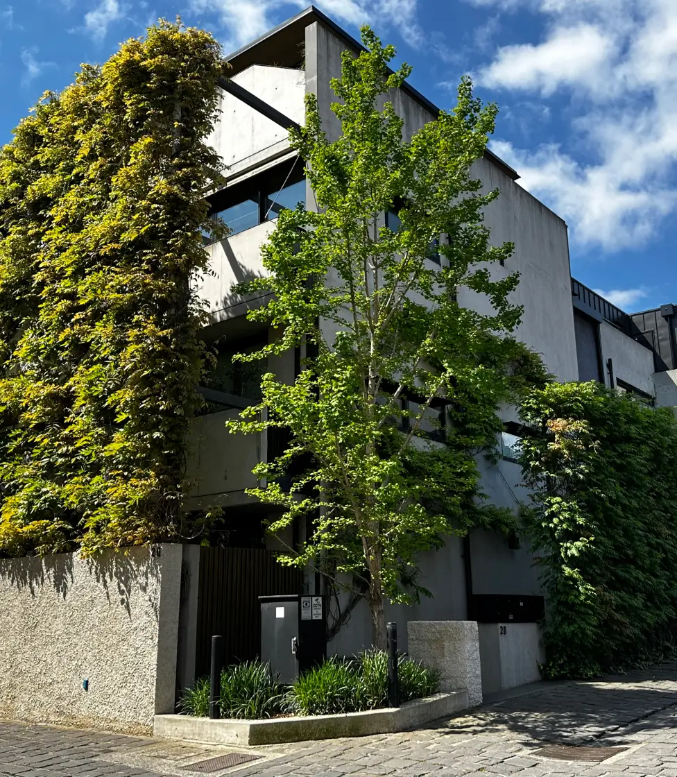 Apartment with a vertical garden wall