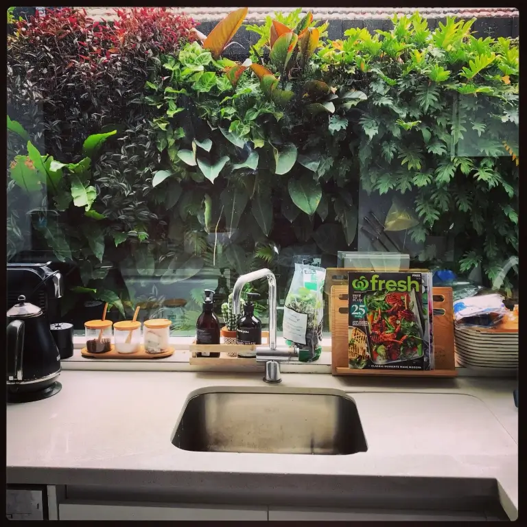 Kitchen counter overlooking a green garden wall
