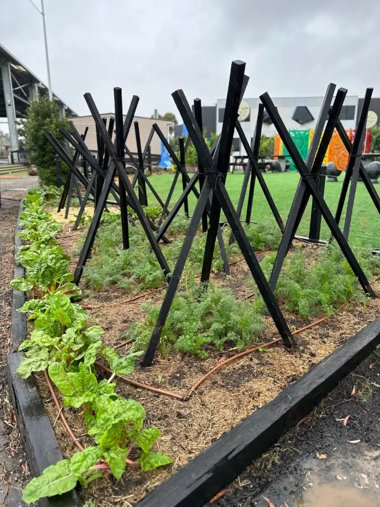 Small outdoor community garden