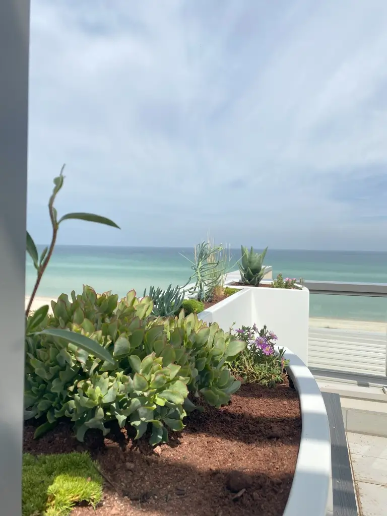 Rooftop garden with an ocean view