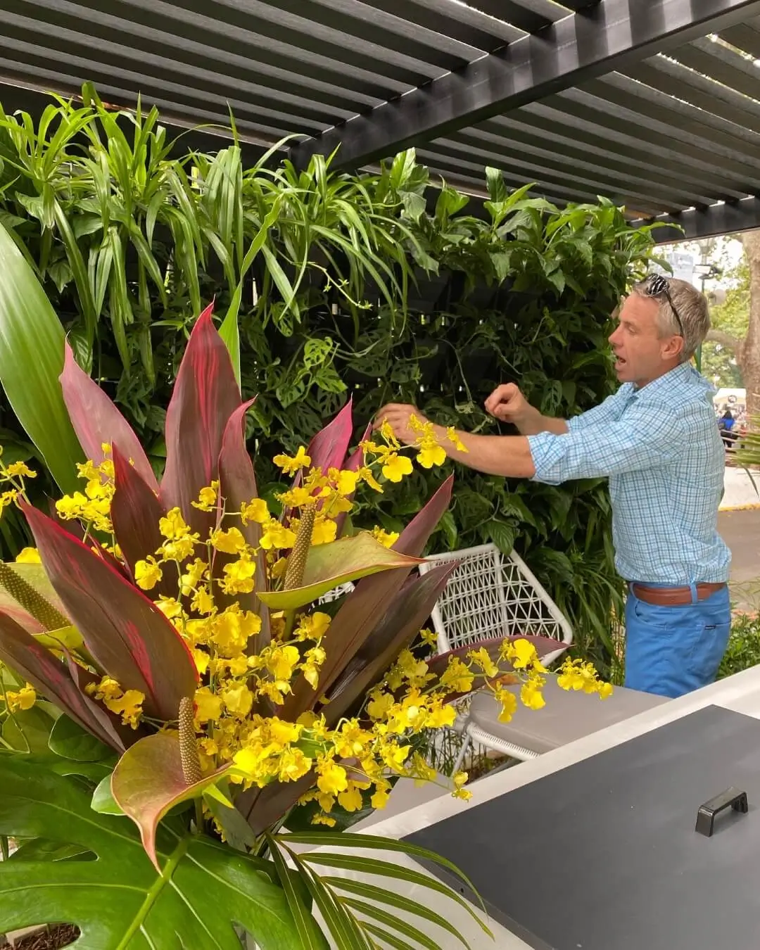 Person arranging vibrant yellow orchids and red-green tropical plants