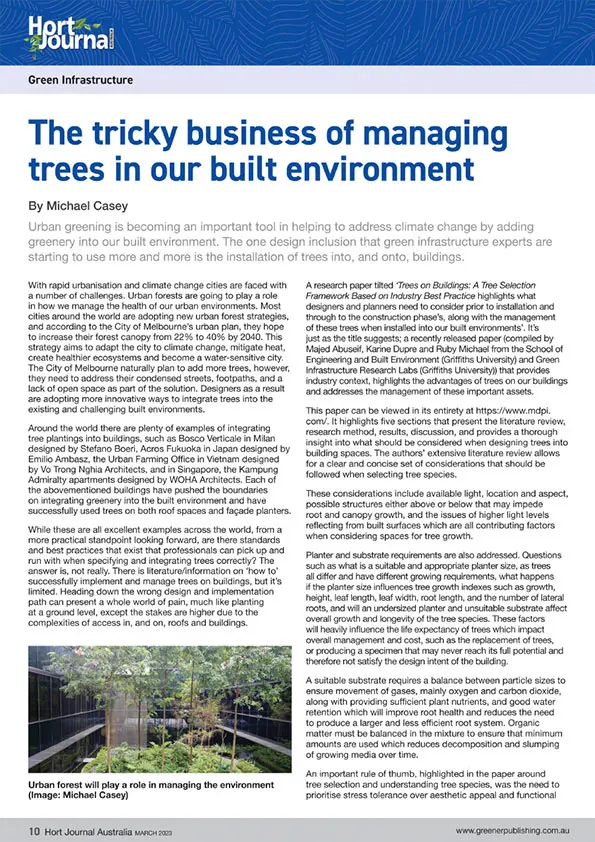 Trees In Our Built Environment