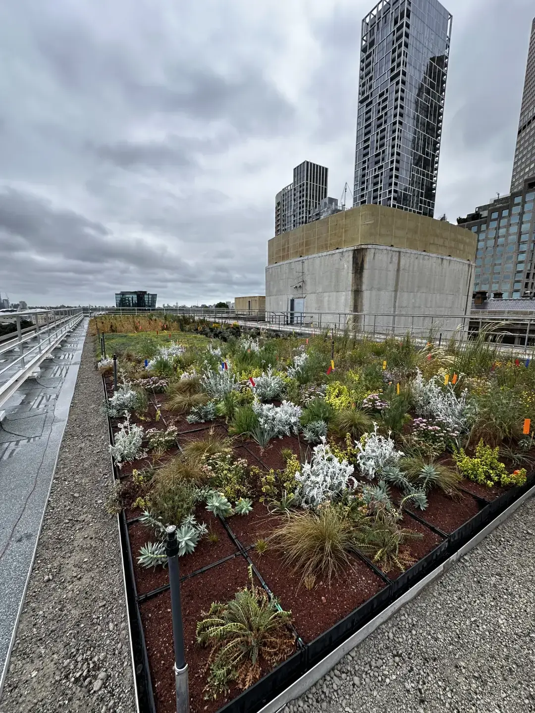Urban rooftop garden with diverse plants against cloudy city skyline background