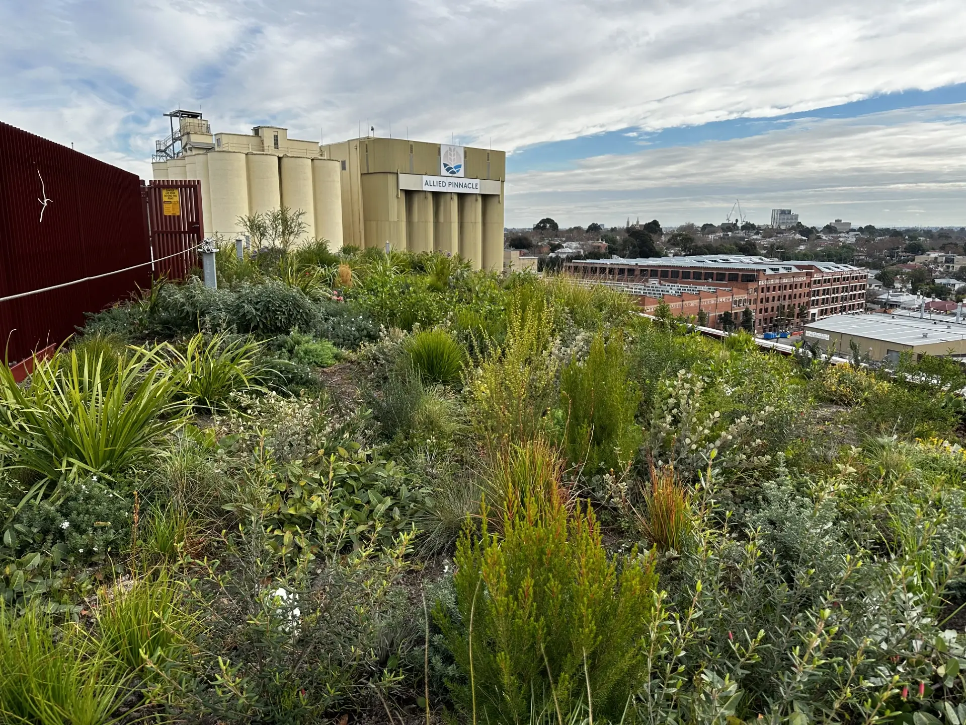 Green rooftop garden with diverse plants overlooking urban industrial landscape
