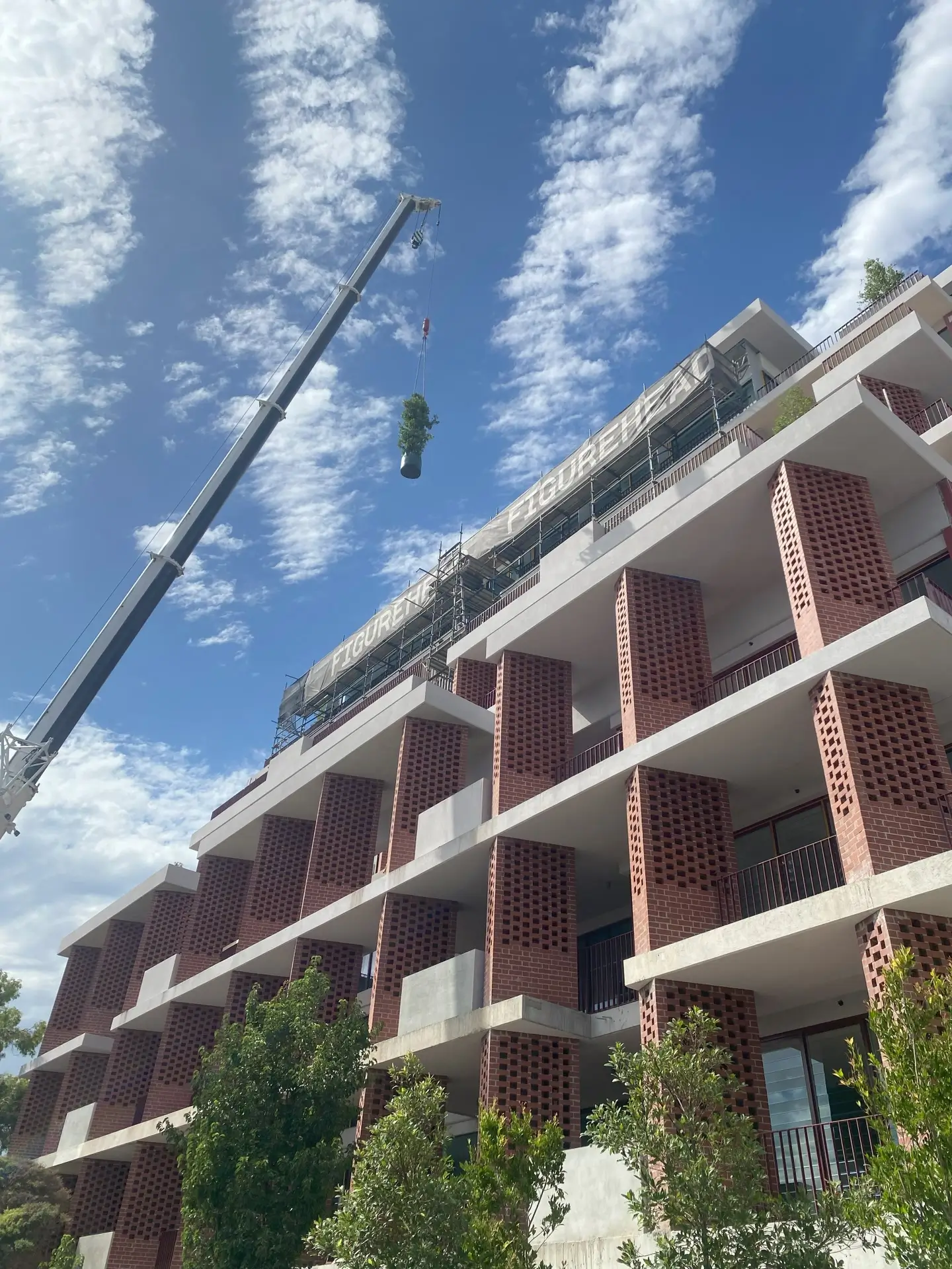 Crane lifting a plant onto an apartment roof