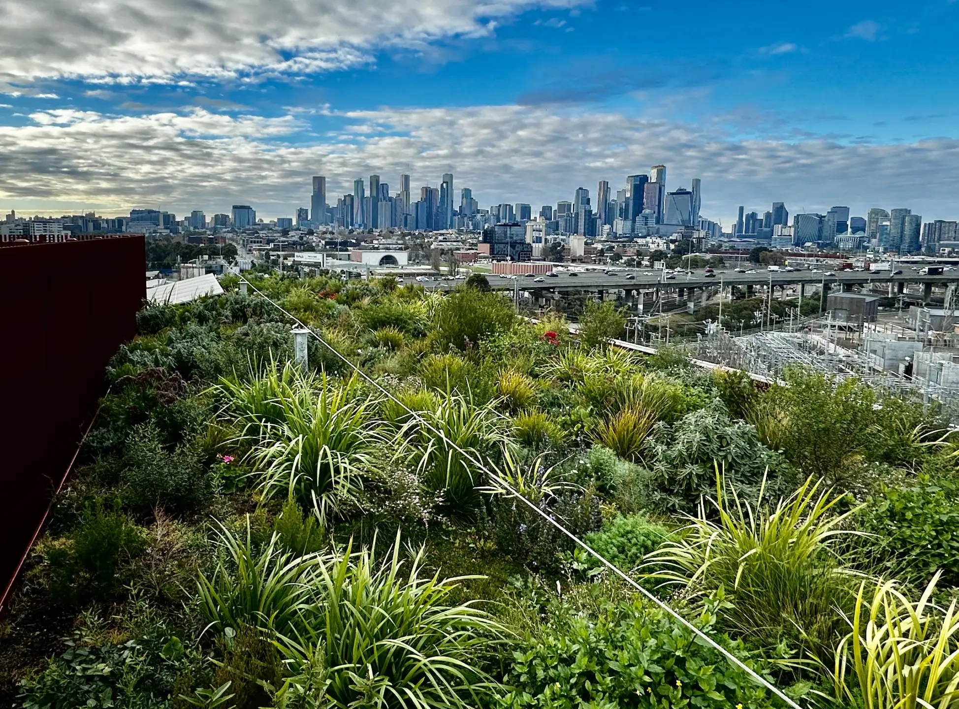 Urban green roof with city skyline and lush vegetation in foreground