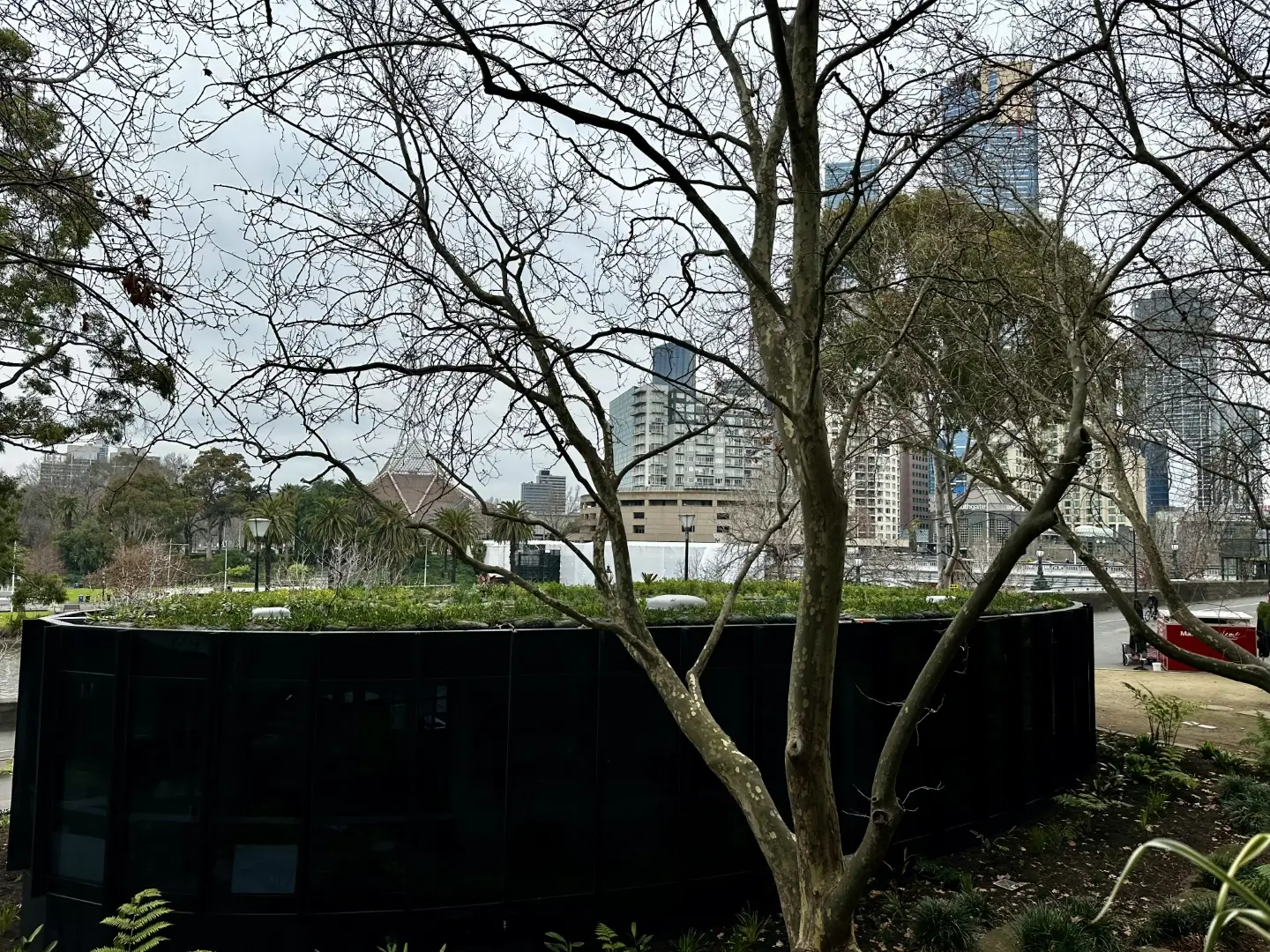 Bare tree frames urban landscape with skyscrapers and black building