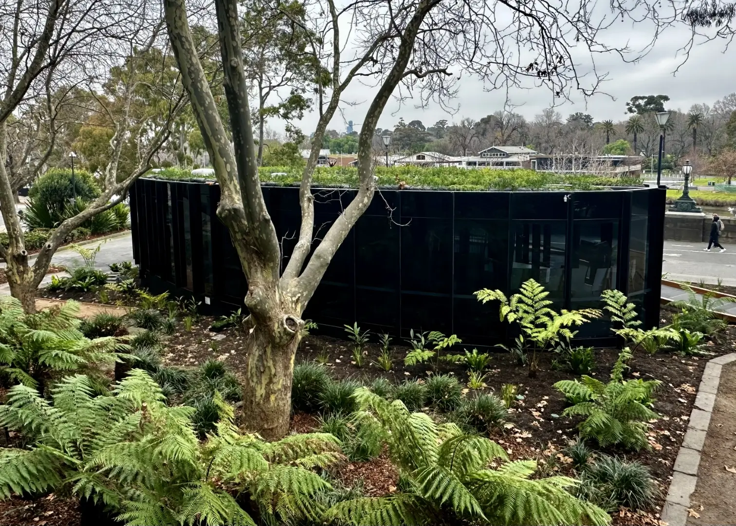 Black modern structure surrounded by lush green ferns and trees
