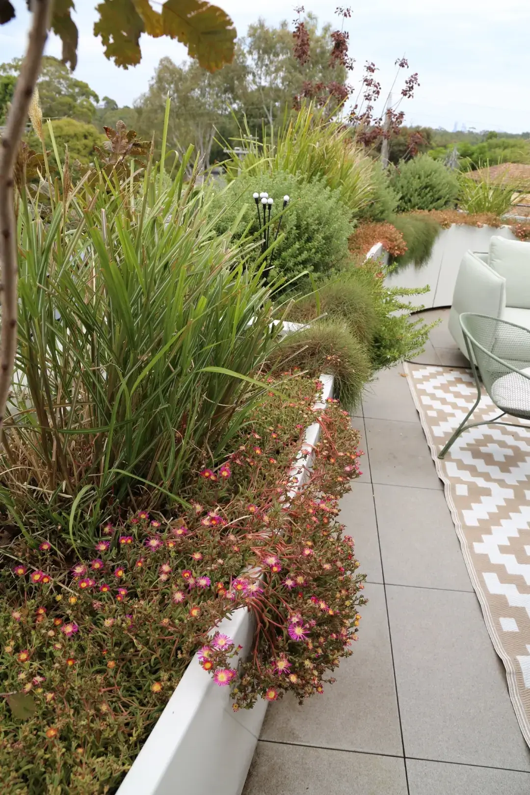 Colorful garden bed with pink flowers, grasses, and modern patio setting