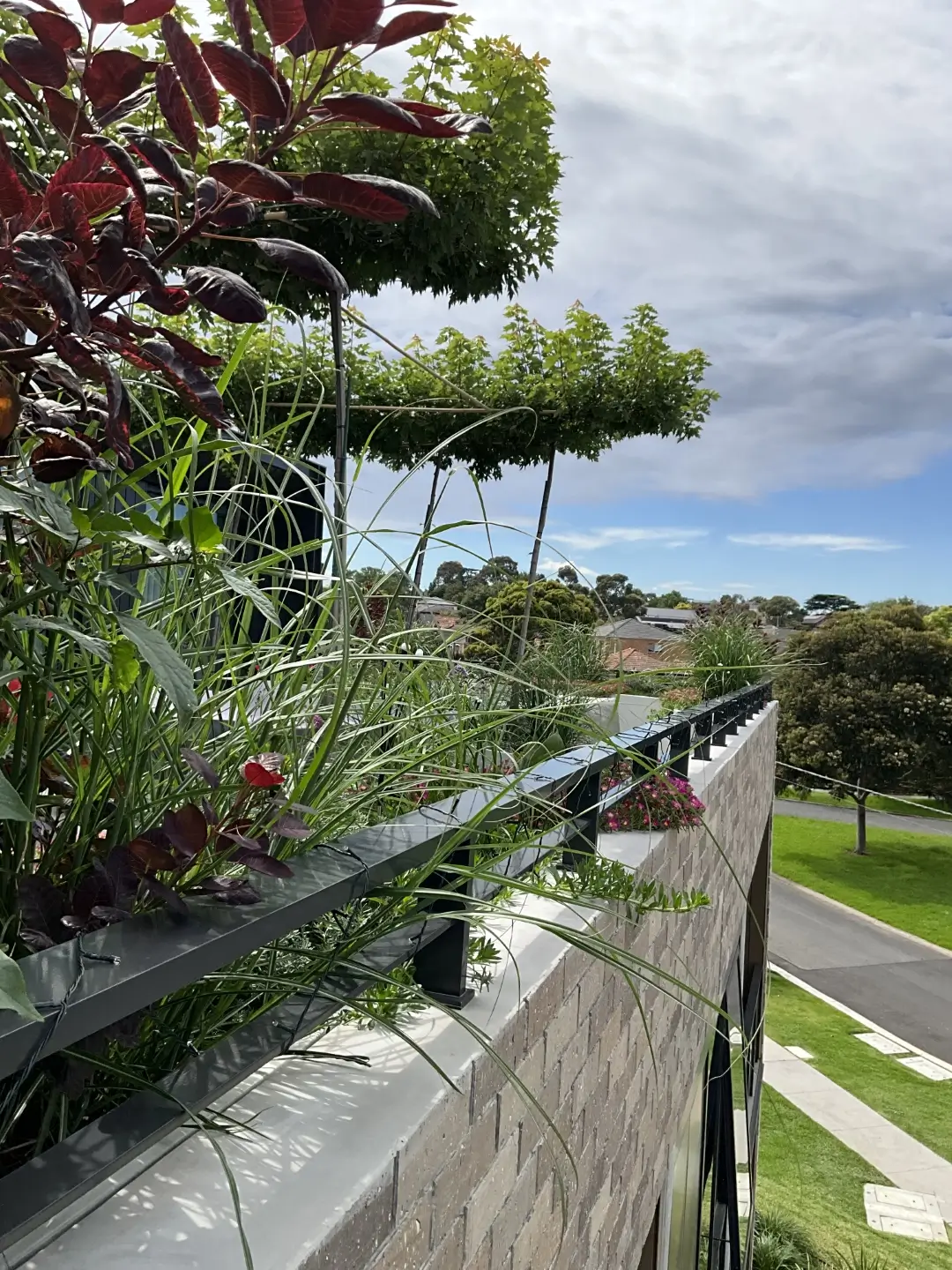 A balcony garden with lush greenery and red plants overlooking a residential street on a sunny day.