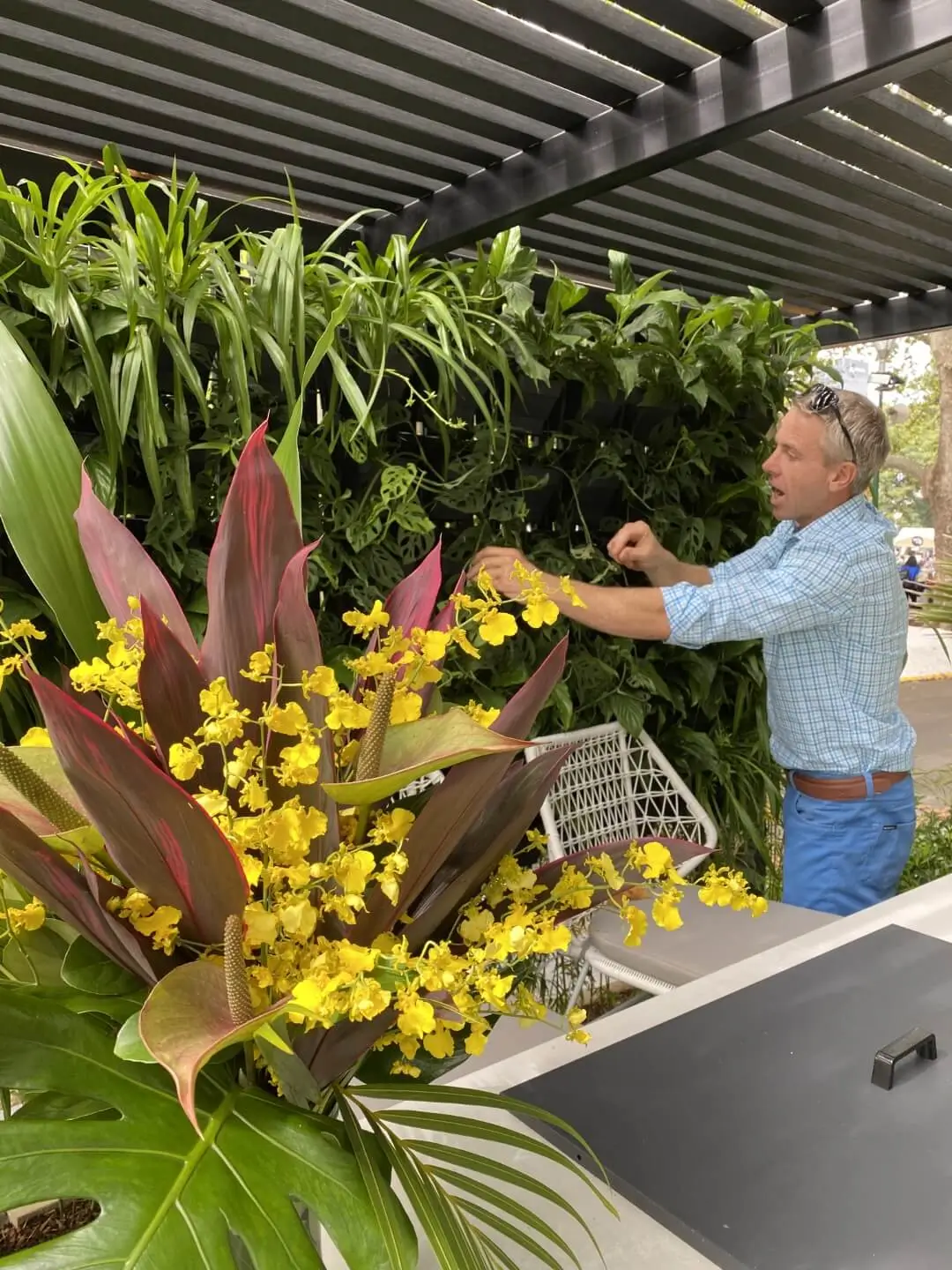 Yellow orchids and red-leafed plants with gardener arranging display