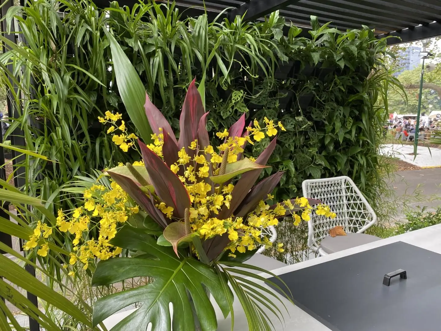 Yellow orchids and red-purple leaves in lush tropical plant arrangement