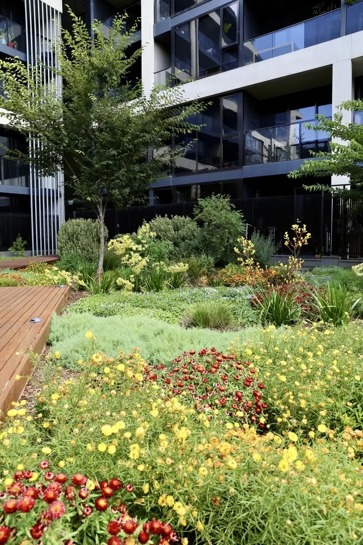 Modern building garden with vibrant yellow and red wildflowers