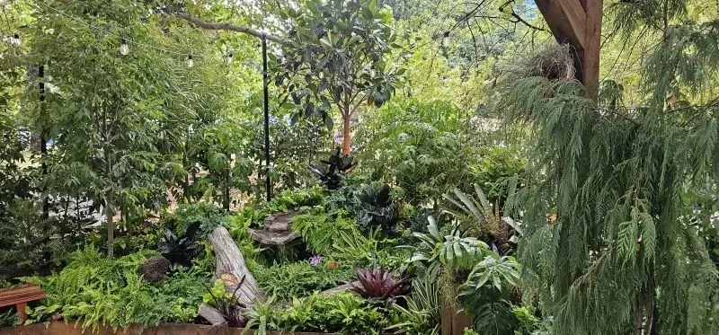 Lush garden with diverse plants, trees, and hanging branches