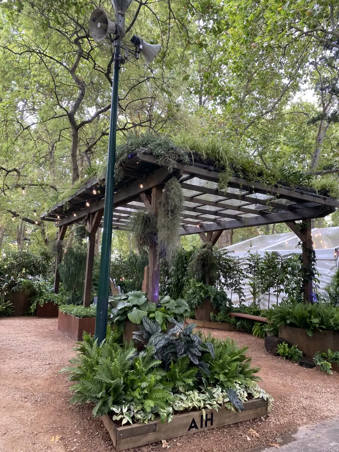 Lush green pergola with hanging plants and string lights in garden setting