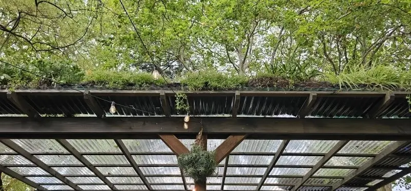 Wooden pergola with hanging plants and trees in background