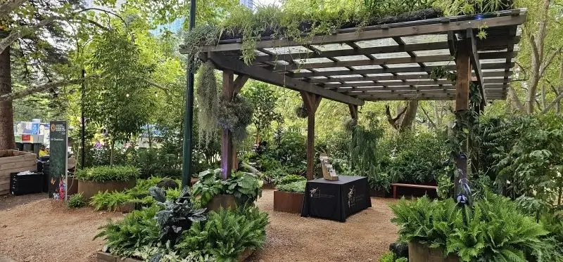 Wooden pergola with lush green plants and ferns in a garden setting