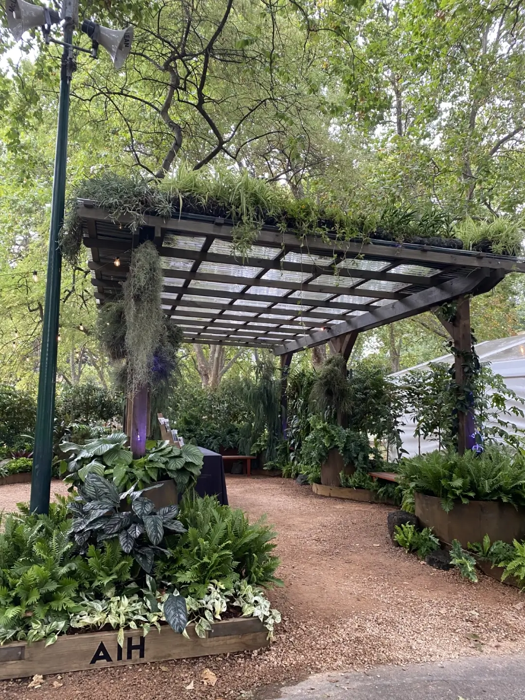 Lush garden pergola with hanging plants, green foliage, and wooden planters