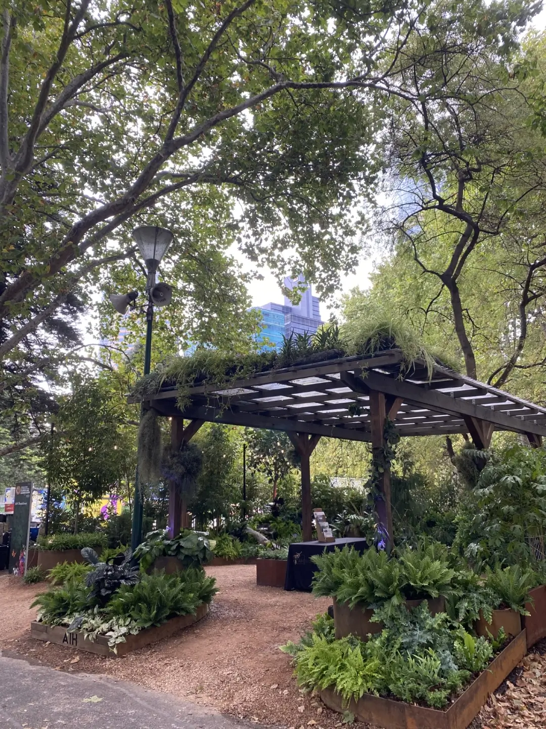 Green urban garden with wooden pergola, raised plant beds, and city backdrop