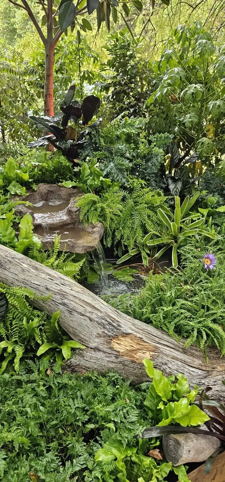 Lush garden with flowing water feature, ferns, logs, and purple flower