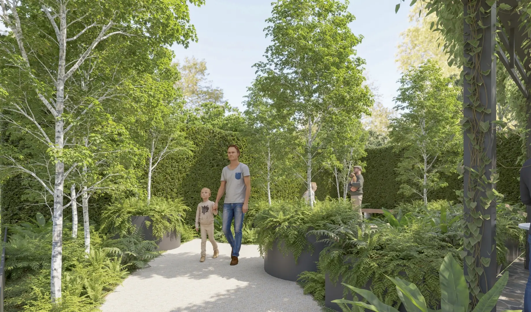 Two people walking through a lush garden with birch trees and ferns