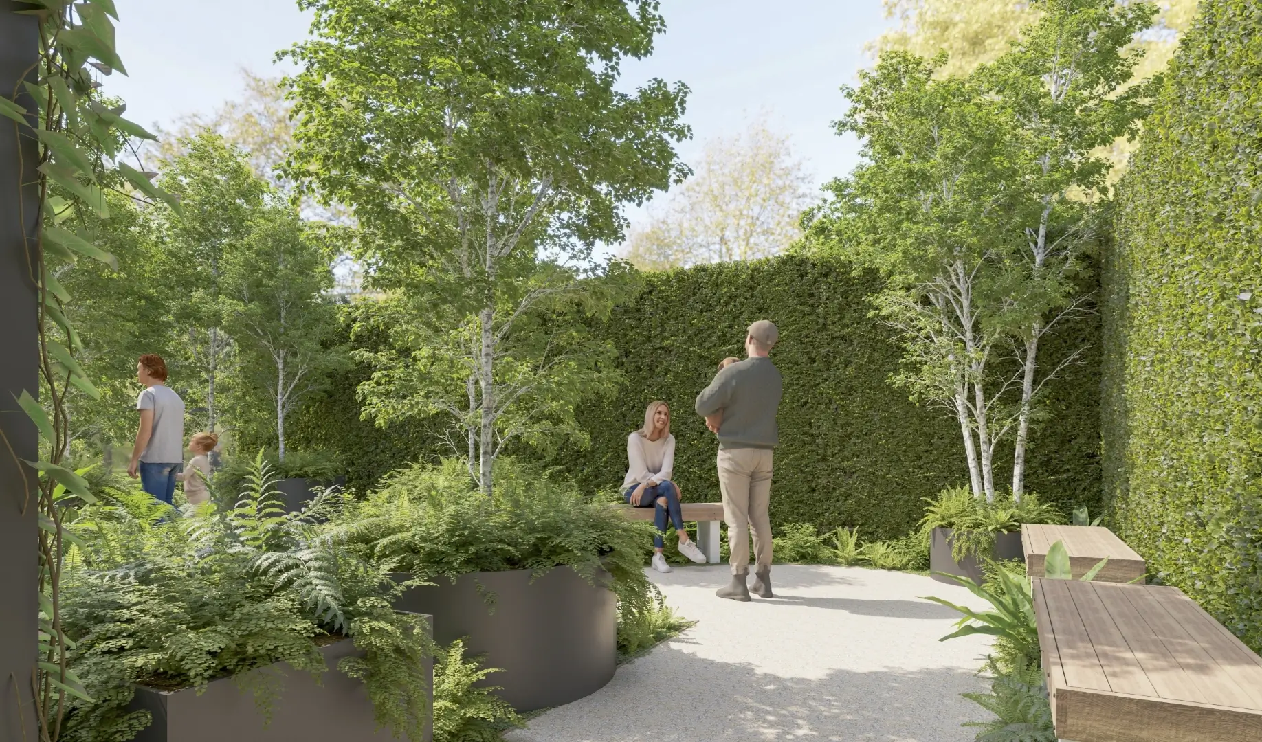 Manicured garden with people, green hedges, birch trees, and modern benches