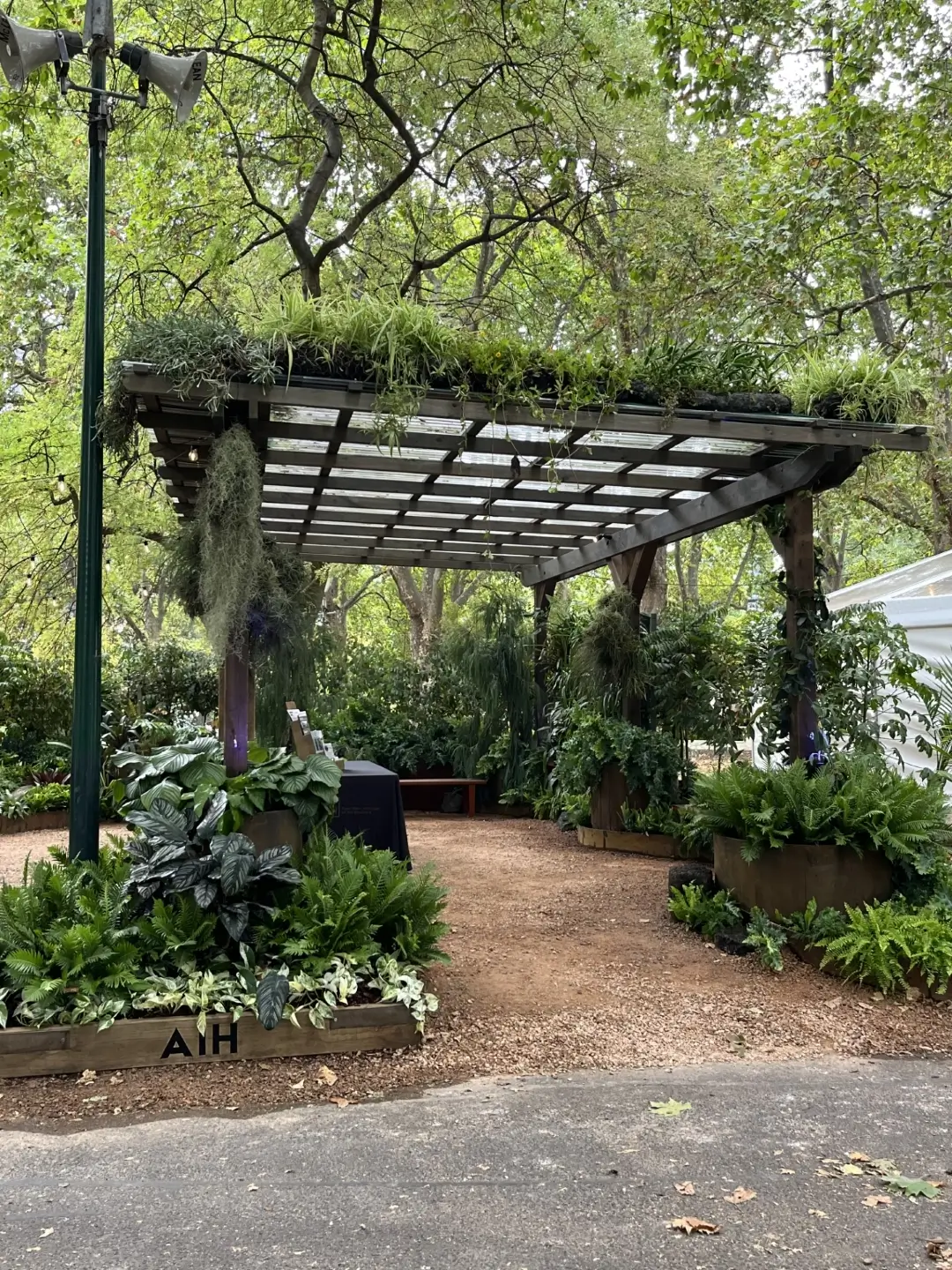 Green pergola with lush plants and ferns in a peaceful garden setting