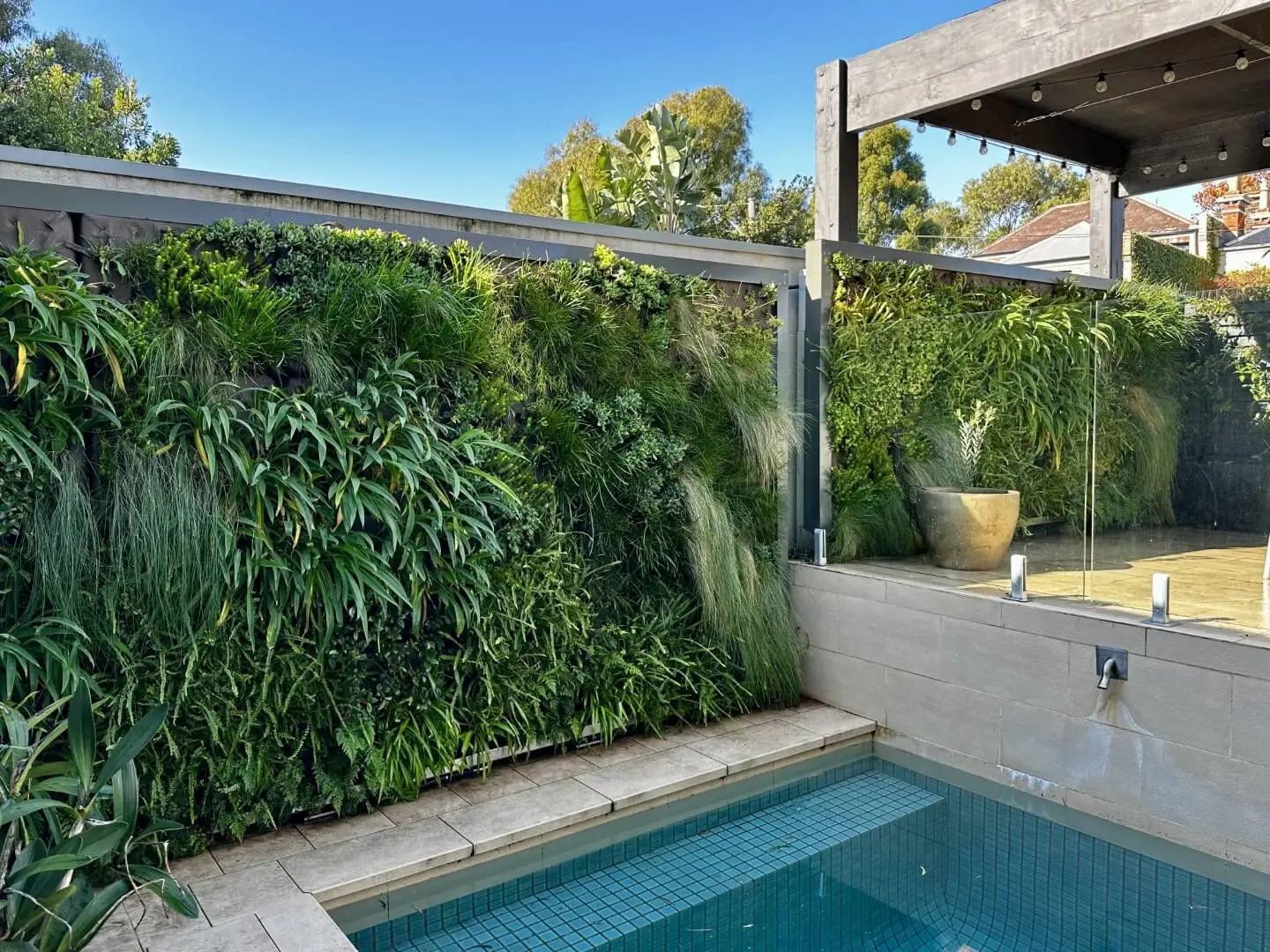 Lush vertical garden wall beside a small blue tiled swimming pool