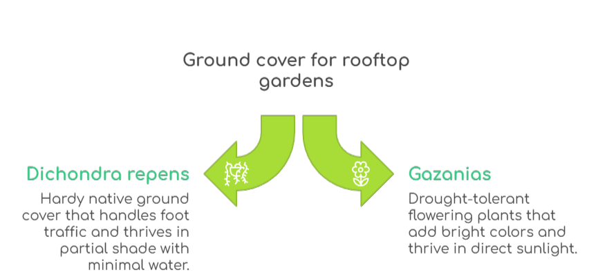 An infographic that illustrates the best ground covers for rooftop gardens