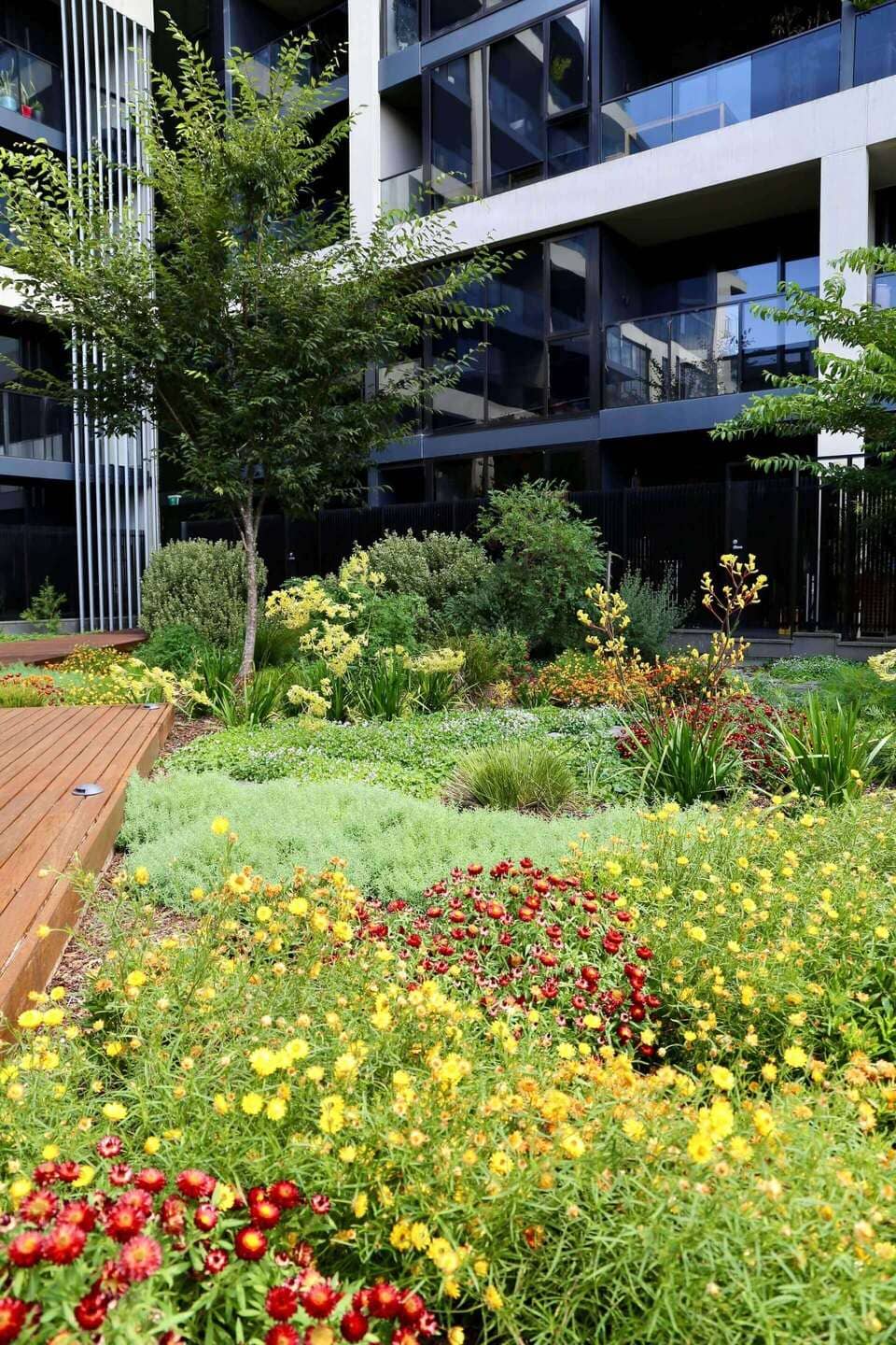A colourful garden with trees and flowers in front of a modern apartment building.