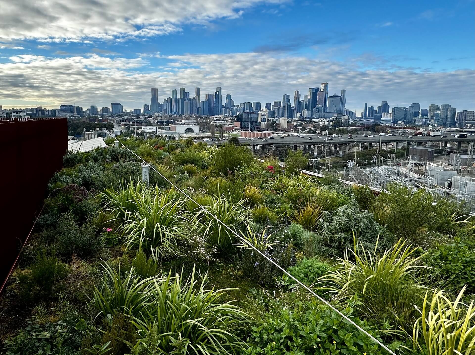 A lush green roof with dense plants overlooking a sprawling city skyline under a partly cloudy blue sky.