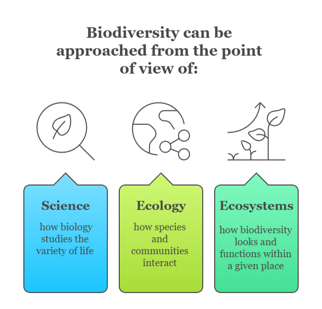 An infographic that illustrates different aspects of biodiversity