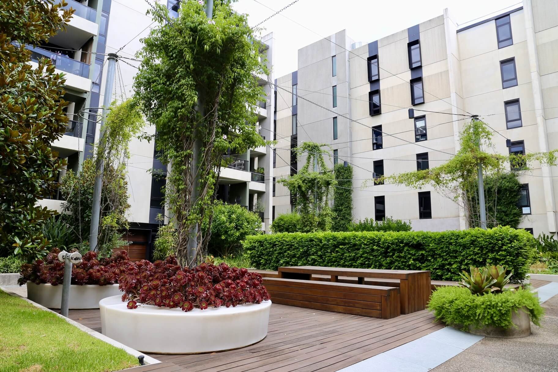 Plant and canopy cover on a roof garden
