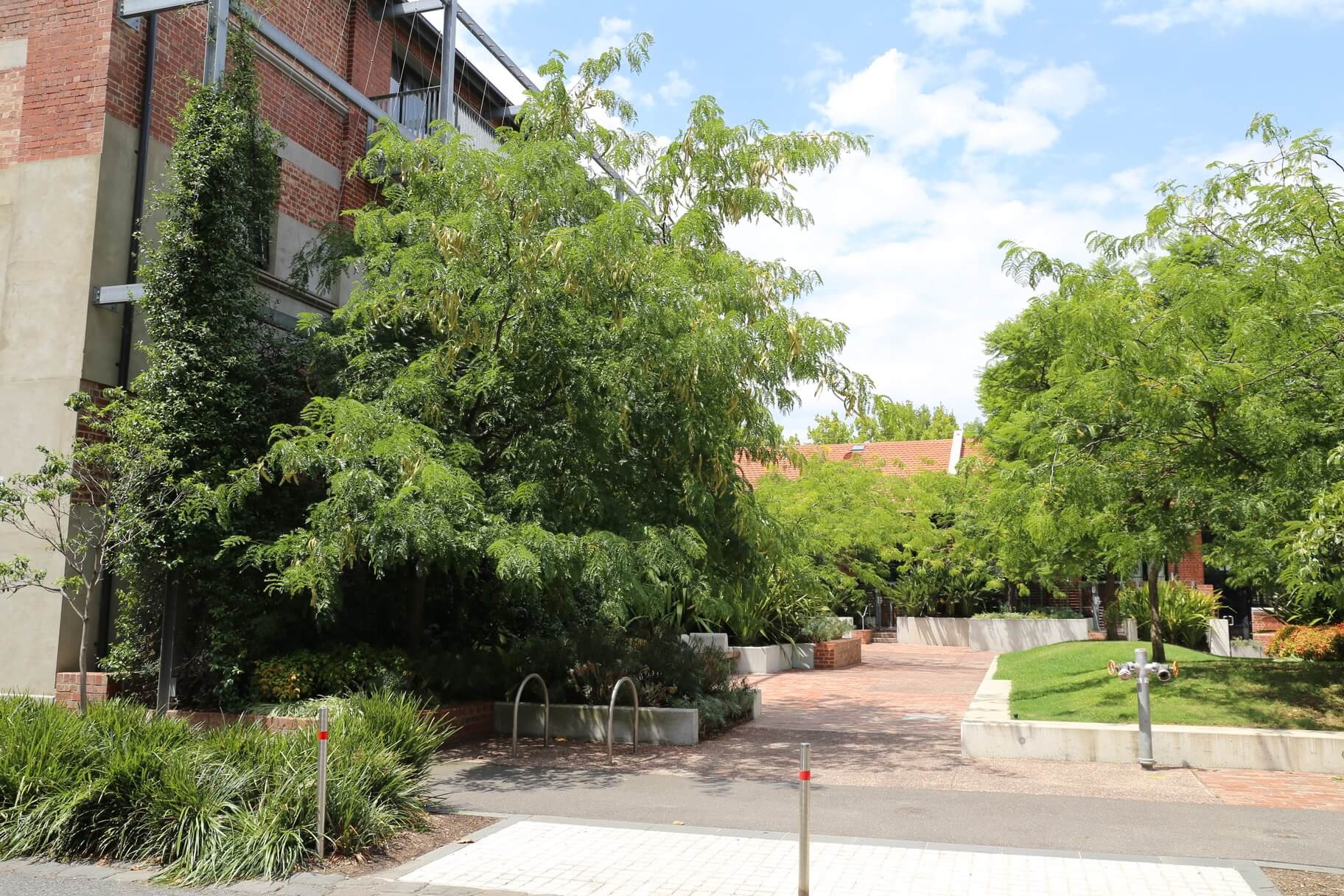 Tree coverage and green facade beside red-brick buildings with paved paths and garden beds on a sunny day