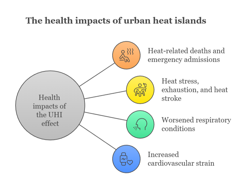 An infographic illustrating the health impacts of urban heat islands