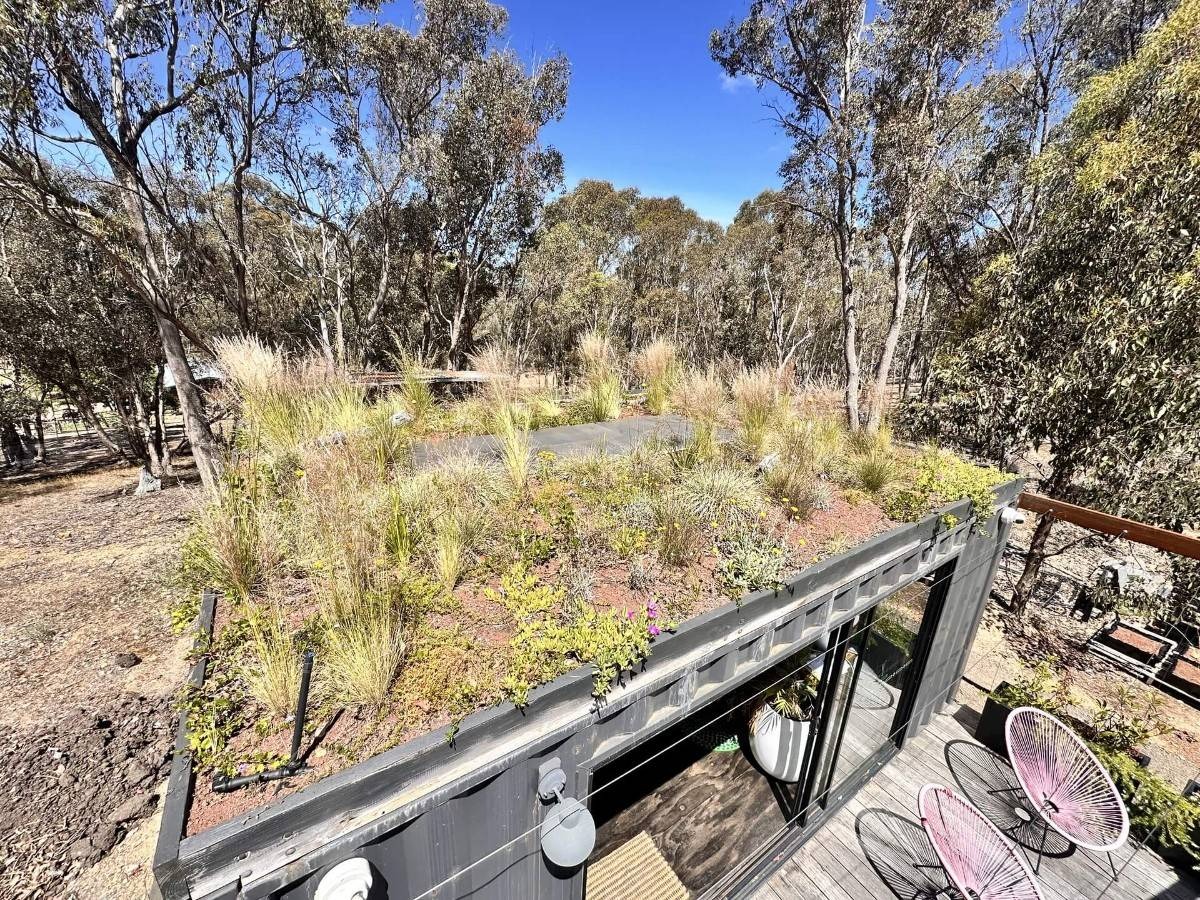 A small cabin with a grassy green roof surrounded by bushland trees, with a deck and chairs visible below on a sunny day.